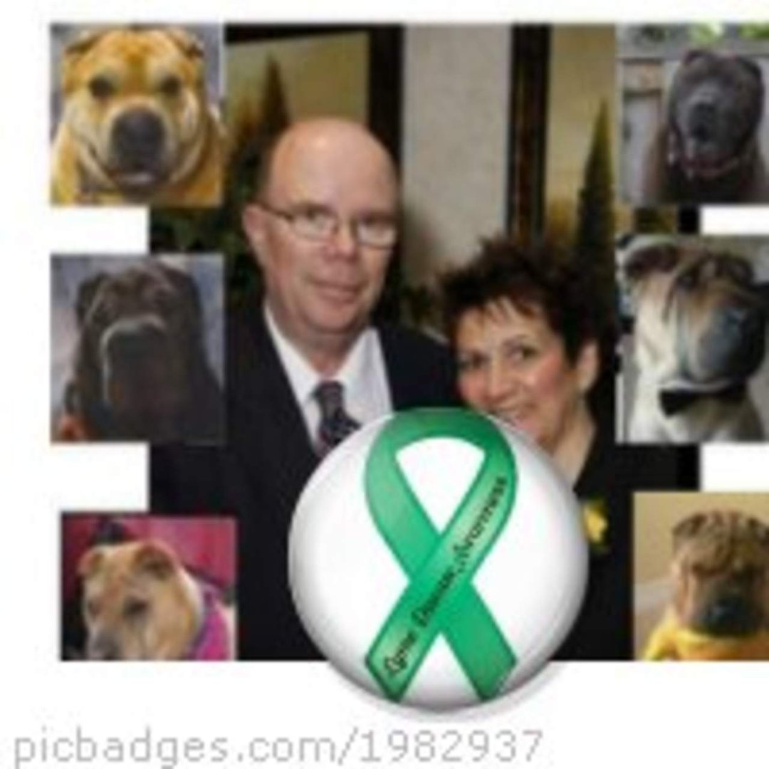 Bob Cameron's album, PicBadges Photos
