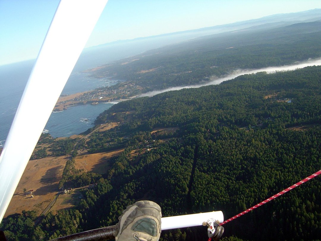 Neil Sharaf's album, Mendo flying
