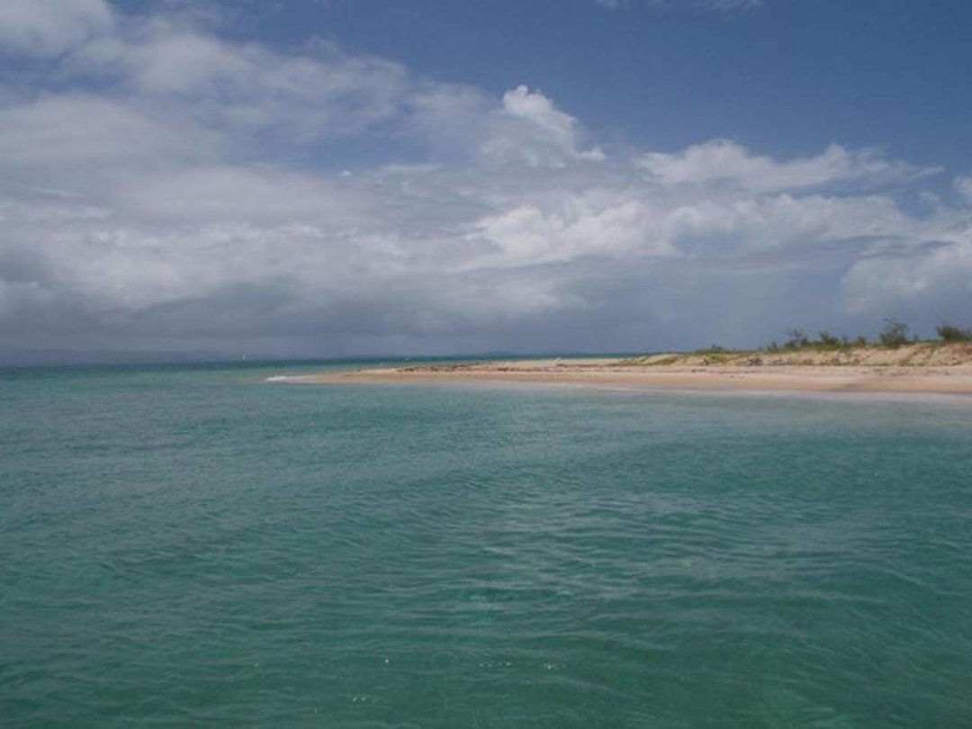 Mina Chamorro's album, Mobile Uploads