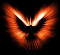 Jonathan Johnson's album, Phoenix