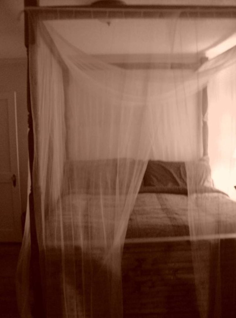 Jennifer Hutchinson's album, BED
