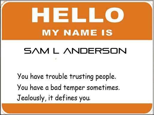 Sam Anderson's album, What does your name say about you?