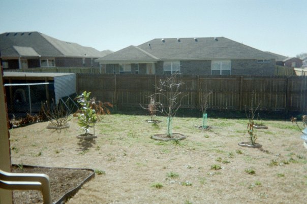 Dennis Aalid's album, Dennis' Home Photos