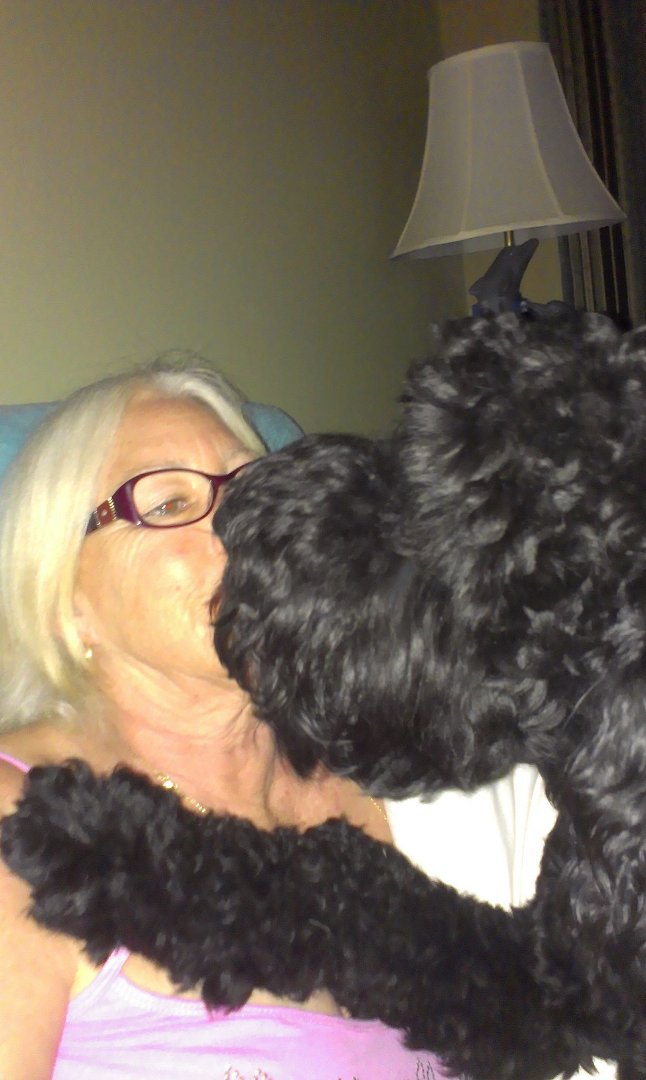Debra Constantine's album, Timeline Photos