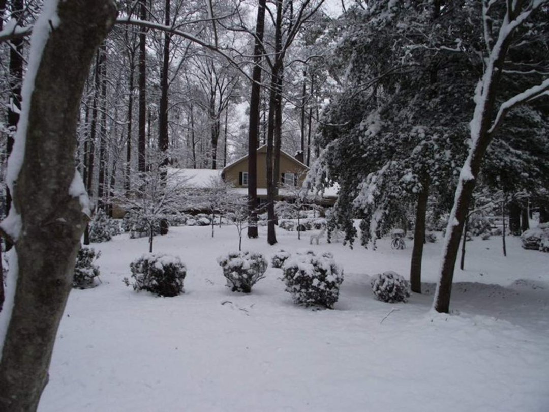 Alvin Doby's album, December 4, 2010