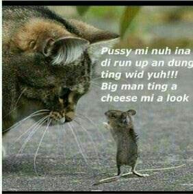 Mad Eeh's album, Mobile Uploads