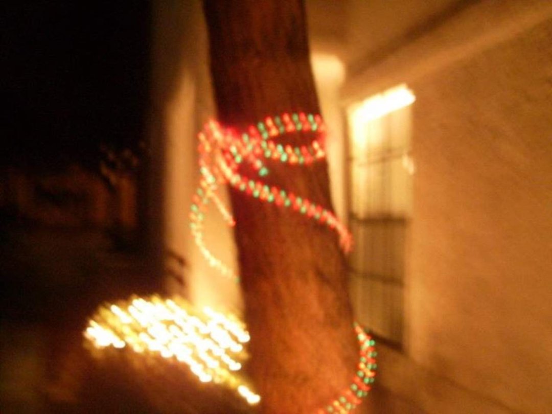 Sharon Nolan's album, December 4, 2011