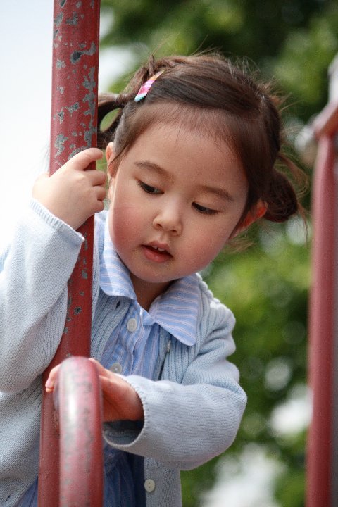 T Chen's album, Day at the Park