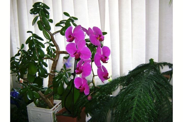 Cathy Hiles' album, Cover Photos