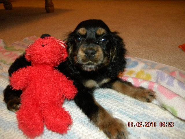 Joann Stickney's album, Timeline Photos