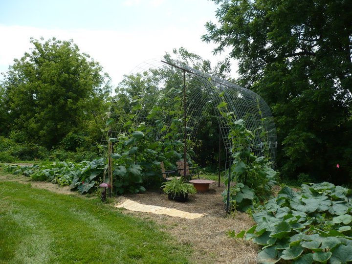 Vern Barry's album, July 2, 2011