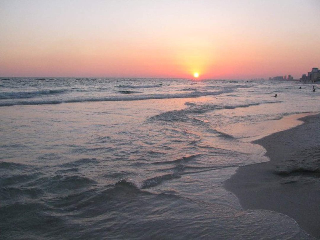 Sally Smith's album, PCB trip ~~ 2011