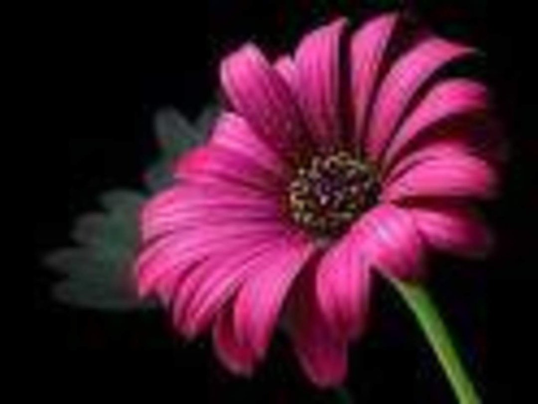 Heather Thackrey's album, Timeline Photos