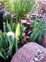 Charles Reed's album, Timeline Photos