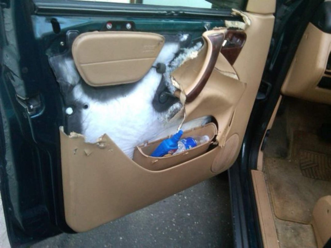 Donald Murphy's album, Doggie Door(s)