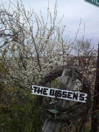 Joyce Bissen's album, Profile Pictures