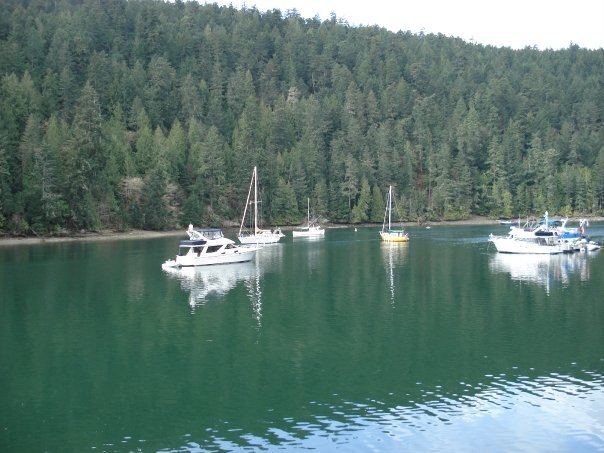 Don Morrison's album, Brentwood Bay Spring Pets Flowers Water