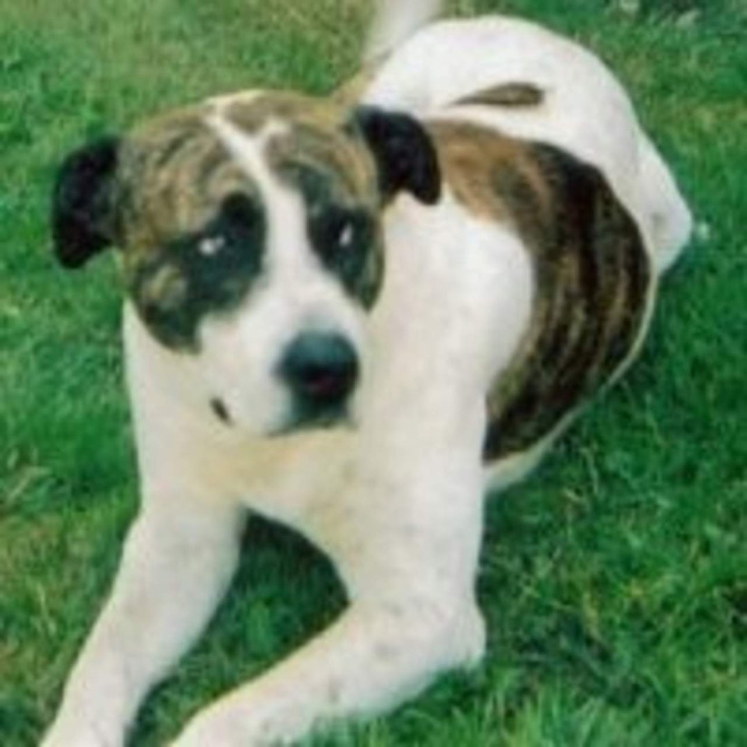 Doris Thebiay's album, Profile Pictures