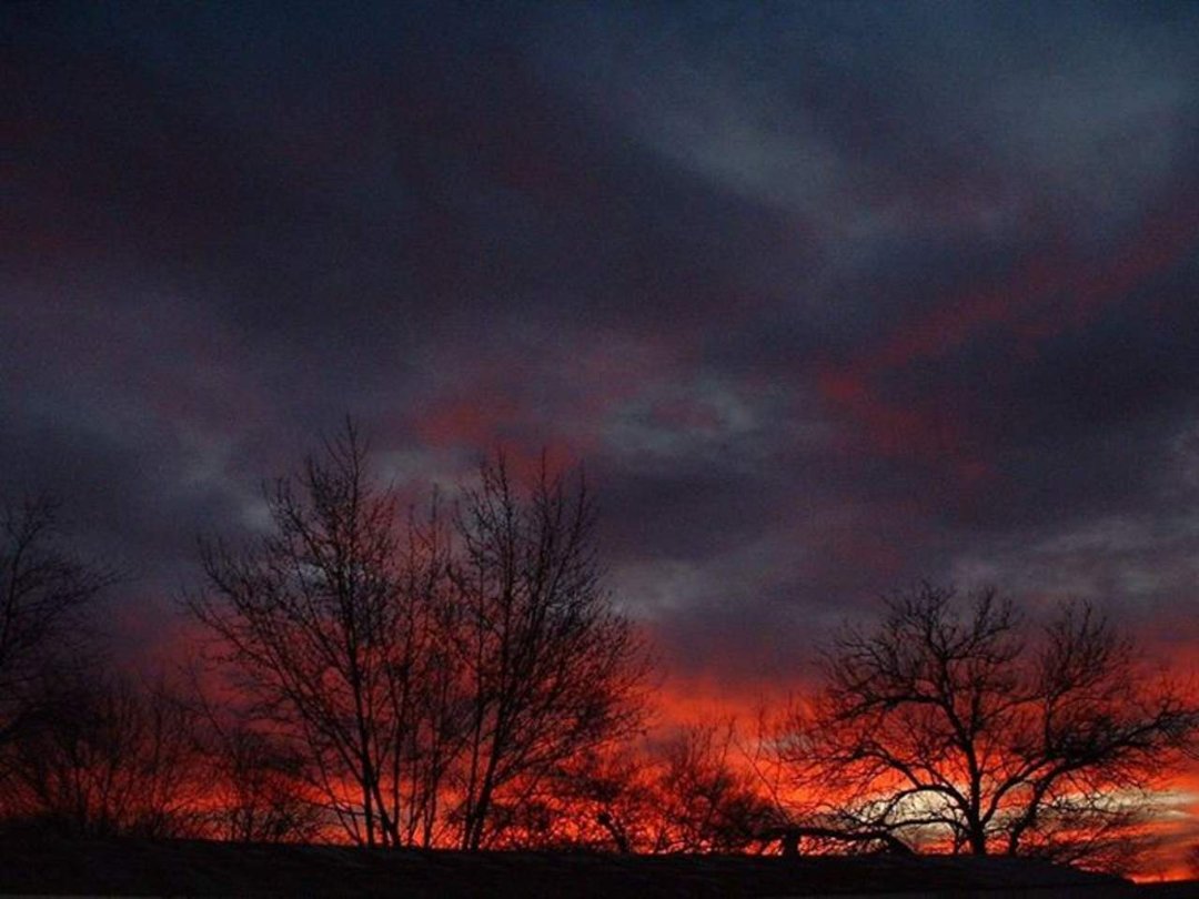 Jennie Messer's album, Cover Photos