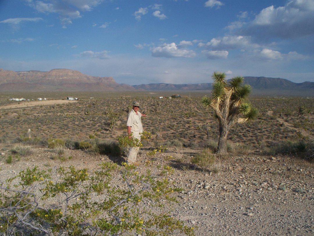 Michael Loeser's album, King Tut gold placer area
