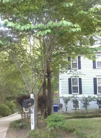 Scott Smith's album, Smith house