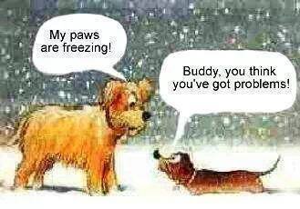 Cindy Bloomer's album, Mobile Uploads