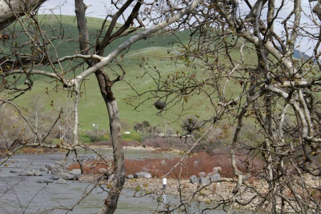 Patrick McGee's album, Blossom Trail