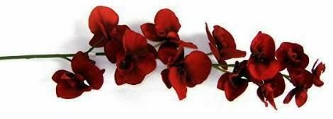 Linda Howell's album, Cover Photos