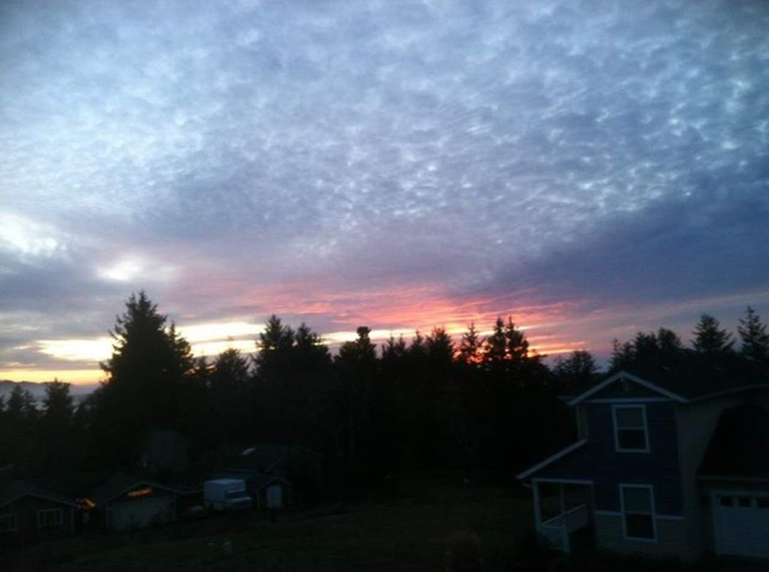 Michael Jelineo's album, Mobile Uploads