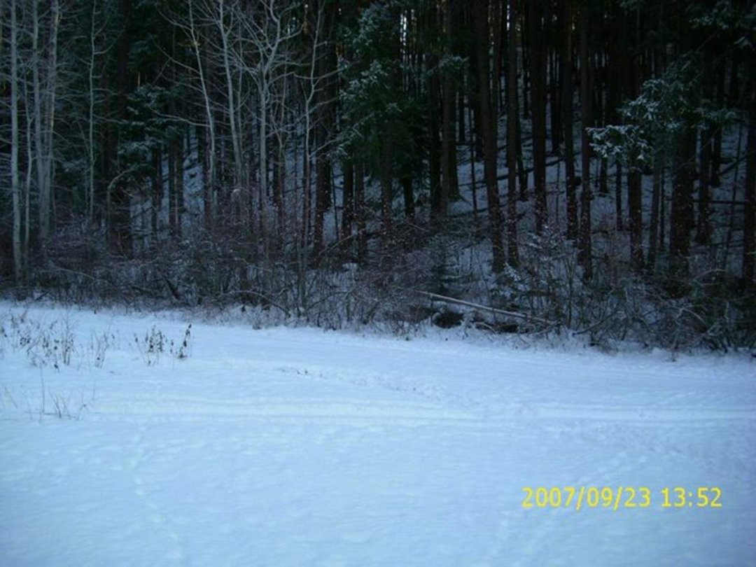 lyn sheridan's album, Leavenworth December 2011