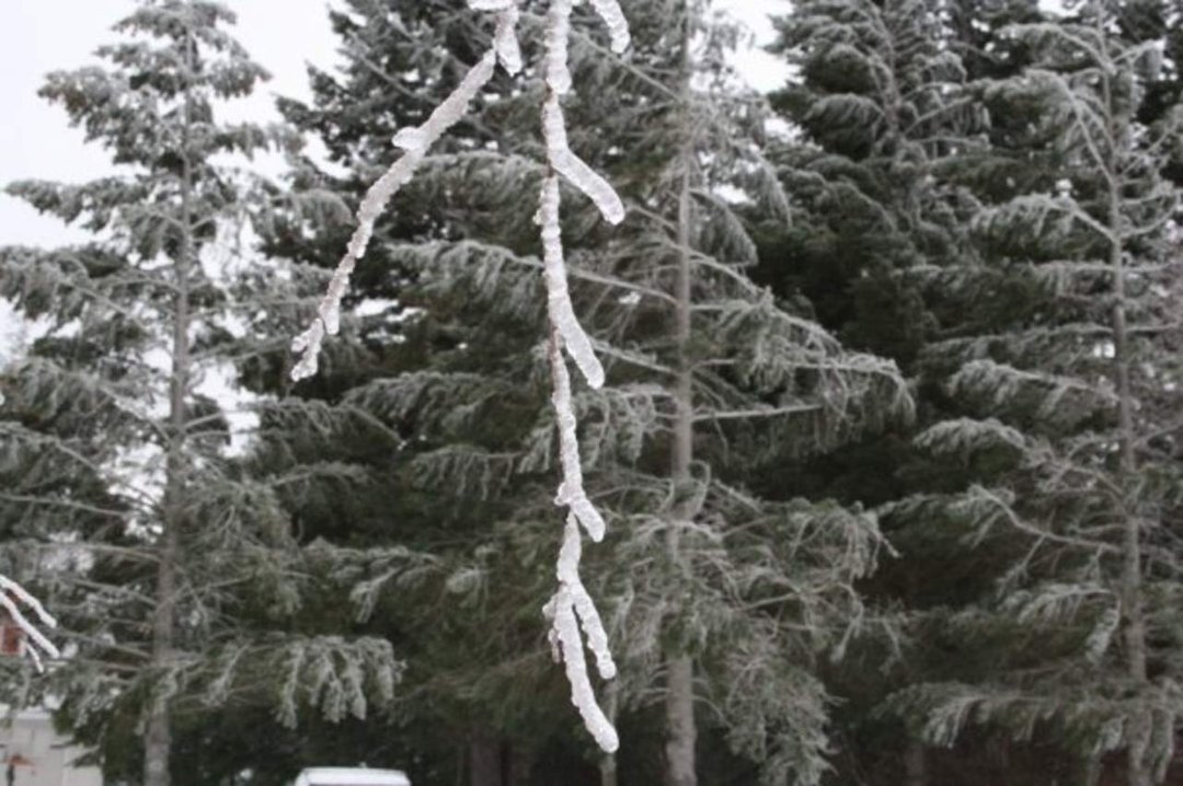 Jeffrey Eustis' album, snow!!