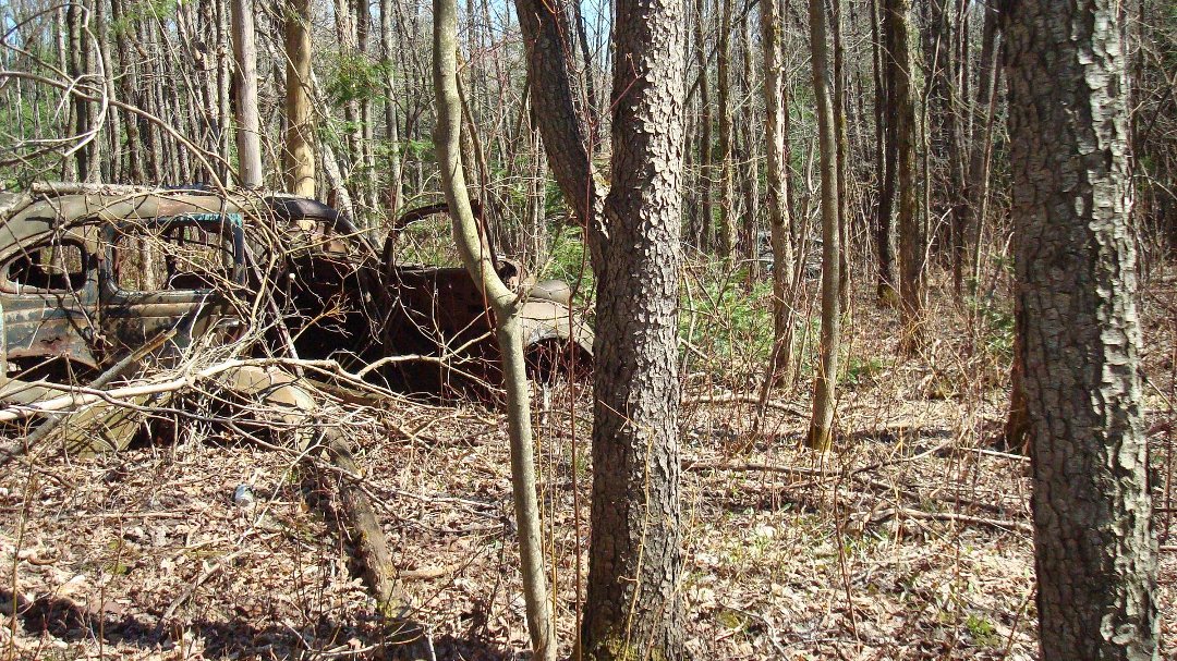 Chris Cunningham's album, 'Rustic' Scenes on a Recent Hike