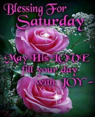 Tammy Ramirez's album, Timeline Photos