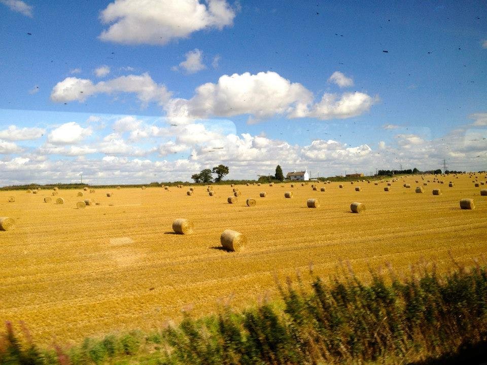 Michael Martin's album, Out the Window of a Train