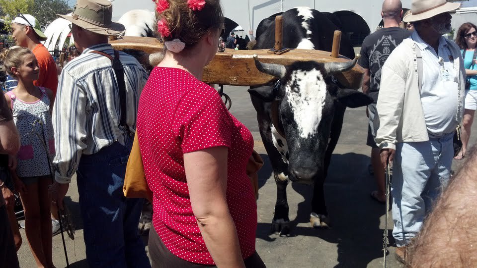 eric rosen's album, A Day at the Fair!