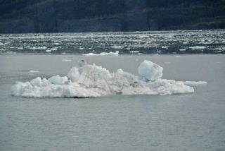 Gail Park's album, Alaska--Glaciers