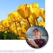 Richard Heiser's album, PicBadges Photos