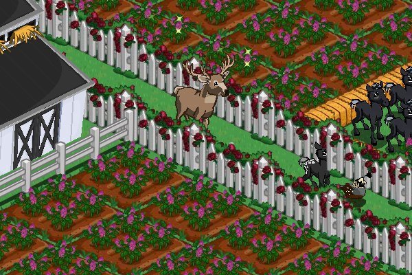 Kathy Grim's album, FarmVille Photos