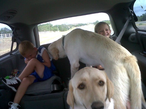 Devin Shelgren's album, Mobile Uploads