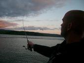 Nicholas Berkenmeier's album, Profile Pictures