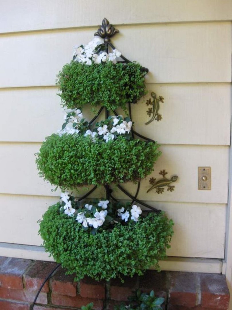 Susan Maxon's album, Timeline Photos