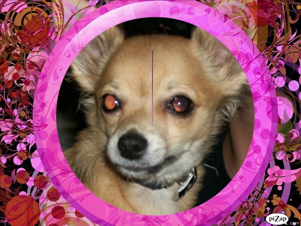 Judy dotson's album, Cover Photos