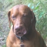 Kerry Benson's album, Profile Pictures