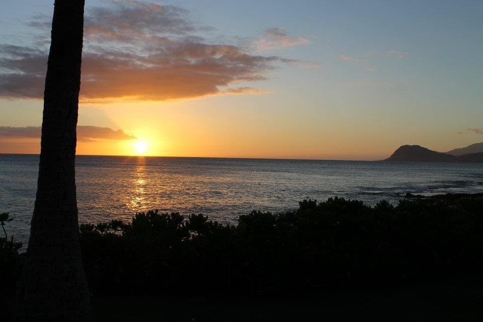 Tracy Reeves' album, Cover Photos