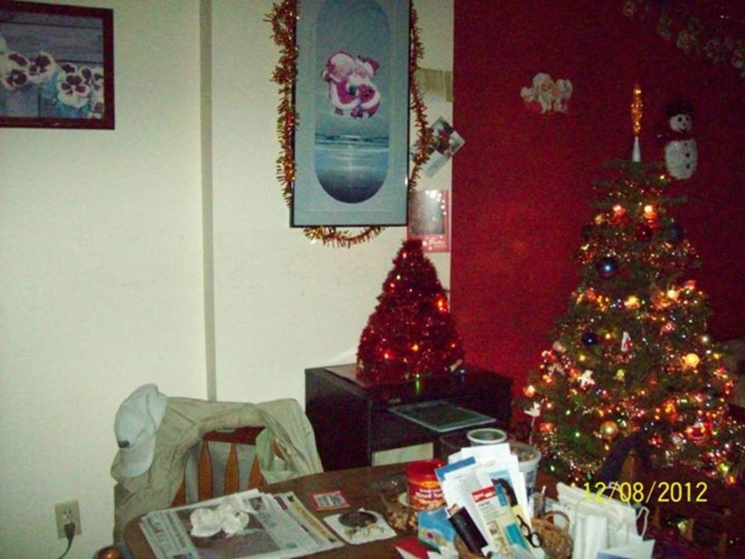Patrick O'Quinn's album, My Newly Painted LivingRoom Did My Self