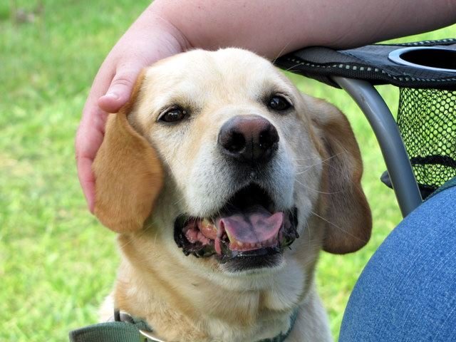 Betty Gadsby's album, Profile Pictures