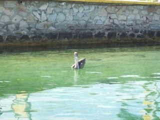 Jeff Barnes' album, Mexico