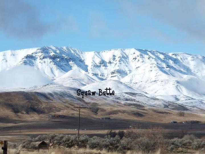 Lynn Sullivan's album, Cover Photos