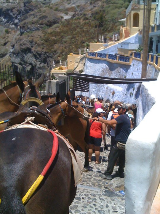 Benjamin Booth's album, 10 Yr Wedding Anniversary - Santorini