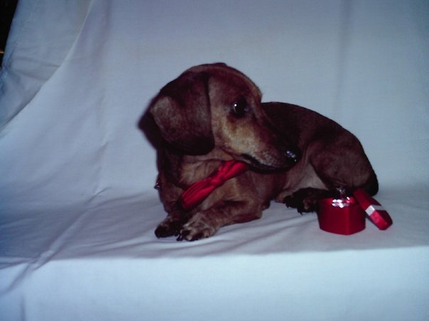 Terry Smith's album, Terry & Fritz